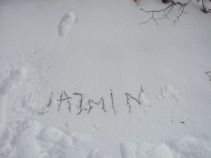 Signé "jasmin" - Mont Aigoual 2014
